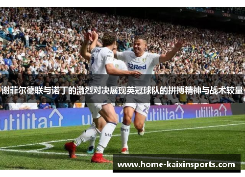谢菲尔德联与诺丁的激烈对决展现英冠球队的拼搏精神与战术较量
